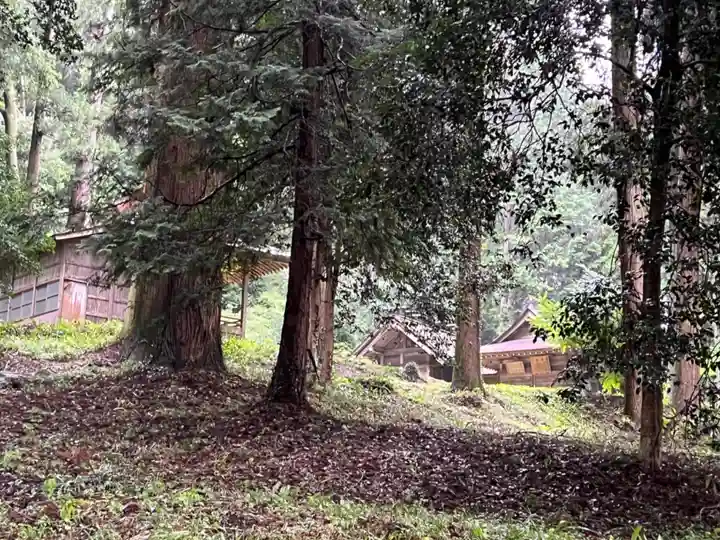 大宮温泉神社(栃木県)