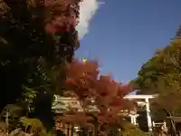 鎌倉宮のその他建物