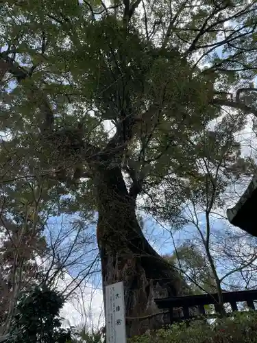 十輪寺(京都府)