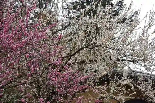 川勾神社の自然