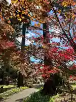 八幡宮(茨城県)