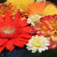 帯廣神社の手水舎