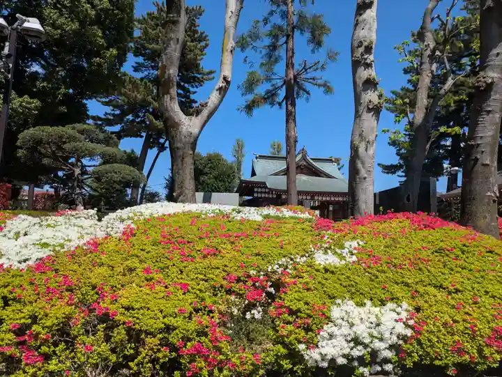 中野沼袋氷川神社(東京都)