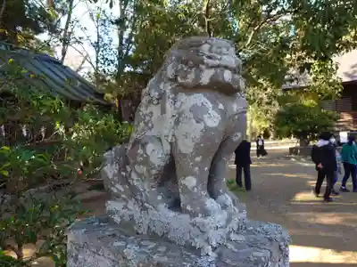 橘樹神社(千葉県)