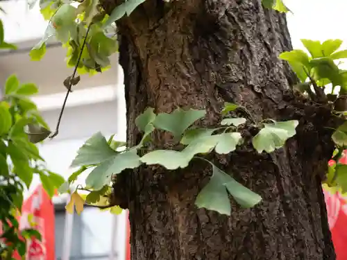 五柱稲荷神社(東京都)