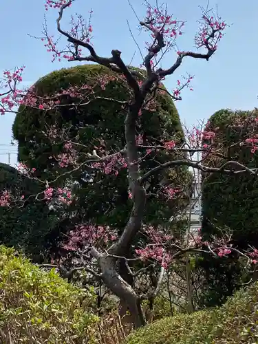 小田八幡宮の庭園