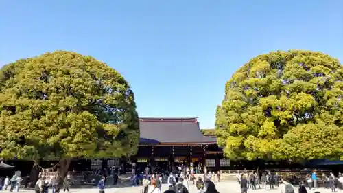 明治神宮(東京都)