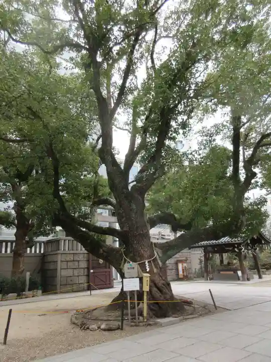 難波神社(大阪府)