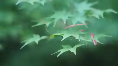 青蓮院門跡(京都府)