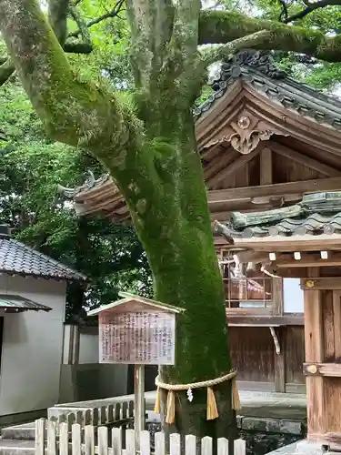 多賀神社（尾張多賀神社）(愛知県)