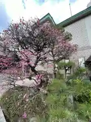 三宮神社の自然