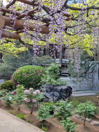 愛染院(東京都)