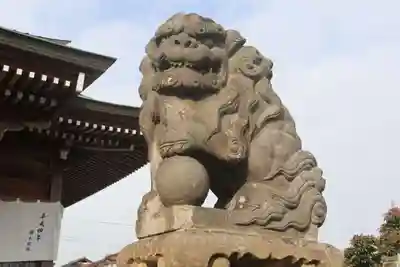 熊野福藏神社の狛犬
