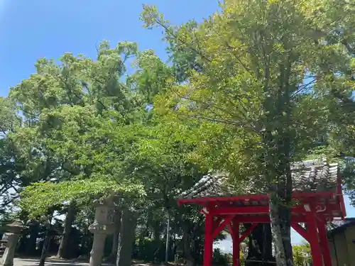 美奈宜神社(福岡県)