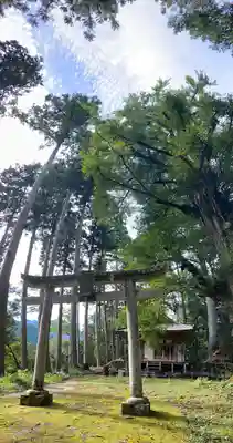 池大神社の鳥居