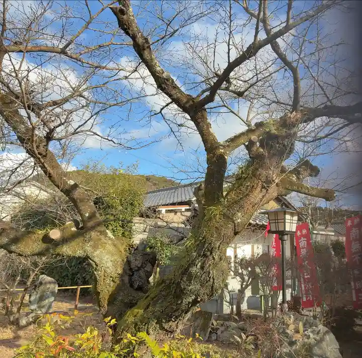 橋寺 放生院(京都府)
