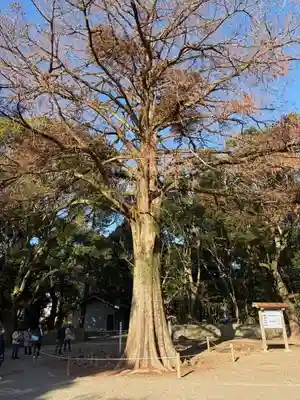 宮崎神宮(宮崎県)