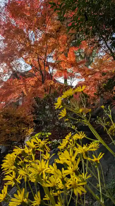 長岡天満宮(京都府)