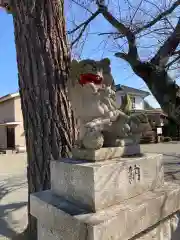 徳延神社の狛犬