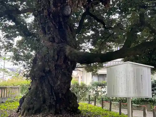 一之宮貫前神社(群馬県)