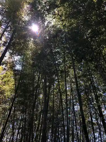 鹿島台神社の自然