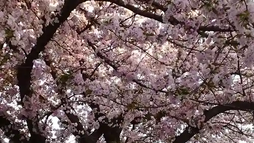 感通寺(東京都)