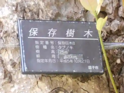 山の根熊野神社のその他建物