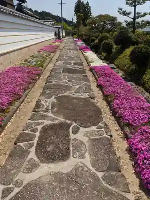 愚渓寺のその他建物