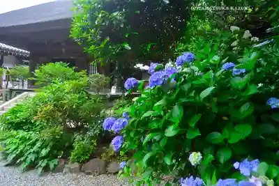 佛日庵(神奈川県)