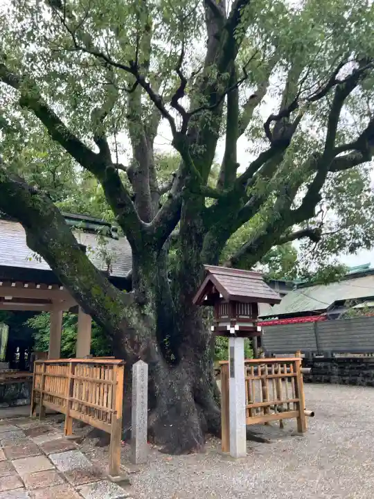 大鳥大社(大阪府)
