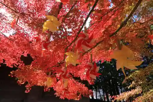 滑川神社 - 仕事と子どもの守り神の庭園