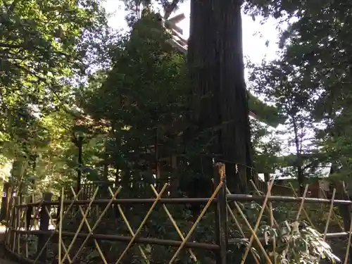 須佐神社(島根県)