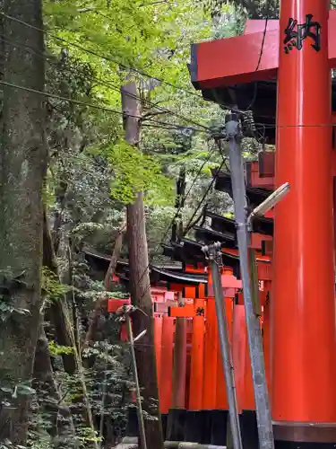 伏見稲荷大社(京都府)