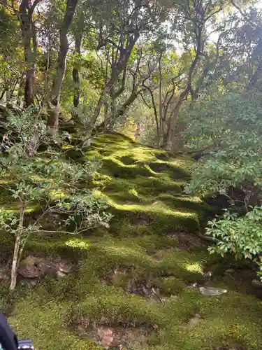 慈照寺（慈照禅寺・銀閣寺）(京都府)