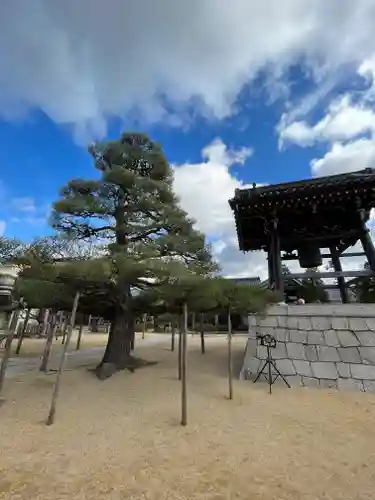 本福寺のその他建物