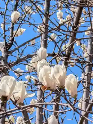柏の宮稲荷神社(東京都)