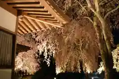 赤門の寺　法蔵寺(栃木県)