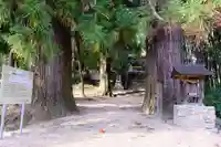 蘇羅比古神社の自然