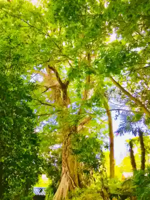 愛宕神社の庭園