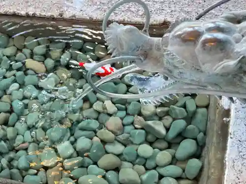 西野神社の手水舎