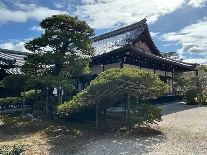 鹿苑寺(金閣寺)の{uncategorized: "未分類", other: "その他", undefined: "問題あり", building: "その他建物", grave: "お墓", sacred_gate: "鳥居", guardian: "狛犬", statue: "像", buddha: "仏像", history: "歴史", nature: "自然", garden: "庭園", animal: "動物", pagoda: "塔", temizu: "手水舎", mountain_gate: "山門・神門", sanctuary: "本殿・本堂", subordinate: "末社・摂社", art: "芸術", scenery: "景色", jizo: "地蔵", ema: "絵馬", goshuin: "御朱印", omikuji: "おみくじ", items: "授与品その他", amulet: "お守り", goshuincho: "御朱印帳", eats: "食事", festival: "お祭り", votive_dance: "神楽", shichigosan: "七五三参", wedding: "結婚式", experience: "体験その他", initially: "初詣", around: "周辺", anti_infection: "感染症対策"}