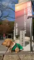 葛原八幡神社の{uncategorized: "未分類", other: "その他", undefined: "問題あり", building: "その他建物", grave: "お墓", sacred_gate: "鳥居", guardian: "狛犬", statue: "像", buddha: "仏像", history: "歴史", nature: "自然", garden: "庭園", animal: "動物", pagoda: "塔", temizu: "手水舎", mountain_gate: "山門・神門", sanctuary: "本殿・本堂", subordinate: "末社・摂社", art: "芸術", scenery: "景色", jizo: "地蔵", ema: "絵馬", goshuin: "御朱印", omikuji: "おみくじ", items: "授与品その他", amulet: "お守り", goshuincho: "御朱印帳", eats: "食事", festival: "お祭り", votive_dance: "神楽", shichigosan: "七五三参", wedding: "結婚式", experience: "体験その他", initially: "初詣", around: "周辺", anti_infection: "感染症対策"}