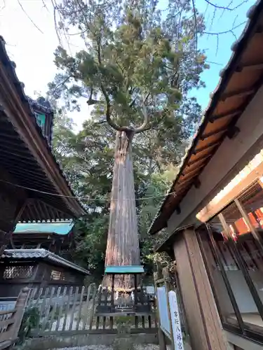 事任八幡宮(静岡県)