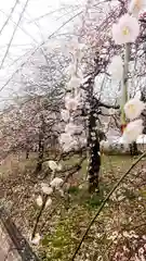 尾張大國霊神社（国府宮）の自然