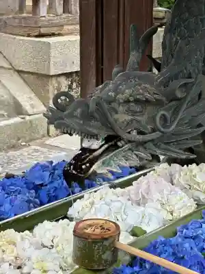 柳谷観音 楊谷寺(京都府)