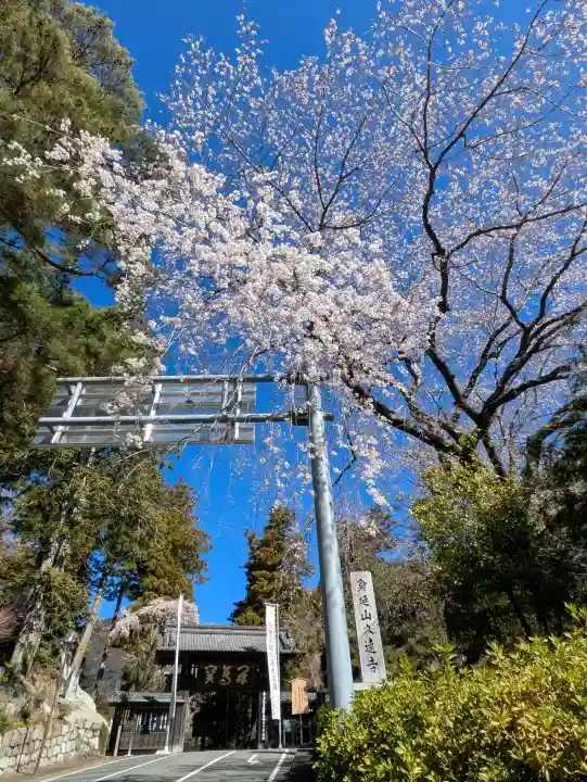 久遠寺の{uncategorized: "未分類", other: "その他", undefined: "問題あり", building: "その他建物", grave: "お墓", sacred_gate: "鳥居", guardian: "狛犬", statue: "像", buddha: "仏像", history: "歴史", nature: "自然", garden: "庭園", animal: "動物", pagoda: "塔", temizu: "手水舎", mountain_gate: "山門・神門", sanctuary: "本殿・本堂", subordinate: "末社・摂社", art: "芸術", scenery: "景色", jizo: "地蔵", ema: "絵馬", goshuin: "御朱印", omikuji: "おみくじ", items: "授与品その他", amulet: "お守り", goshuincho: "御朱印帳", eats: "食事", festival: "お祭り", votive_dance: "神楽", shichigosan: "七五三参", wedding: "結婚式", experience: "体験その他", initially: "初詣", around: "周辺", anti_infection: "感染症対策"}
