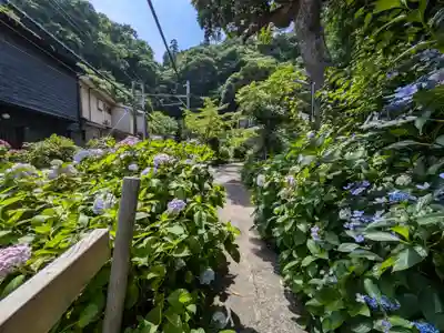 御霊神社の周辺