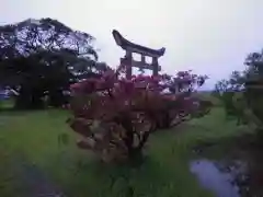 神社(名称不明)の周辺