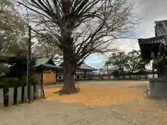 松原八幡神社(兵庫県)