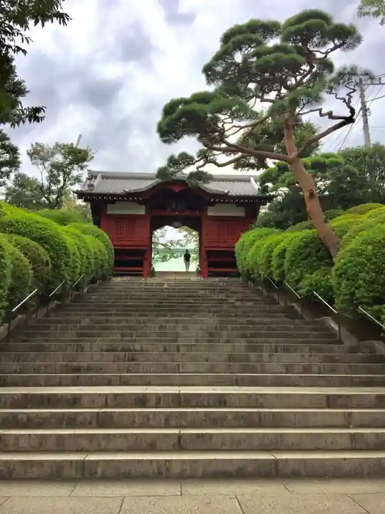 護国寺の山門・神門